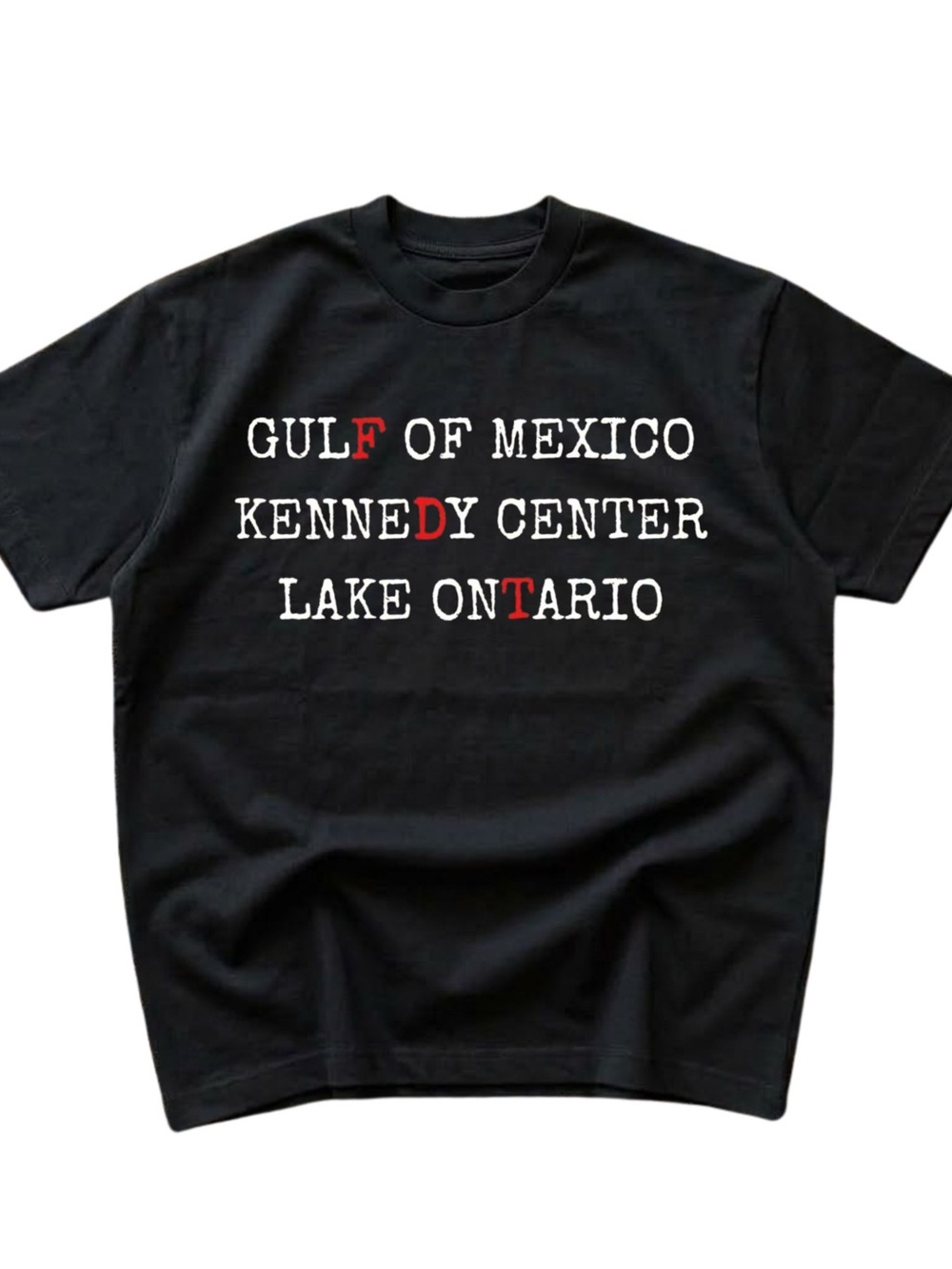 Gildan Black Short Sleeve Tee with White & Red Lettering, Gift For Him, For Her